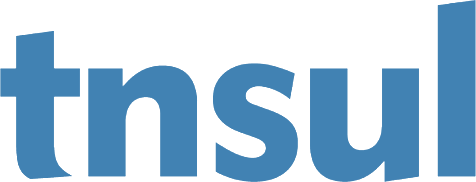 Logotipo TN Sul
